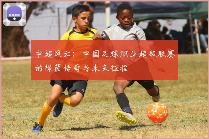中超风云:中国足球职业超级联赛的绿茵传奇与未来征程